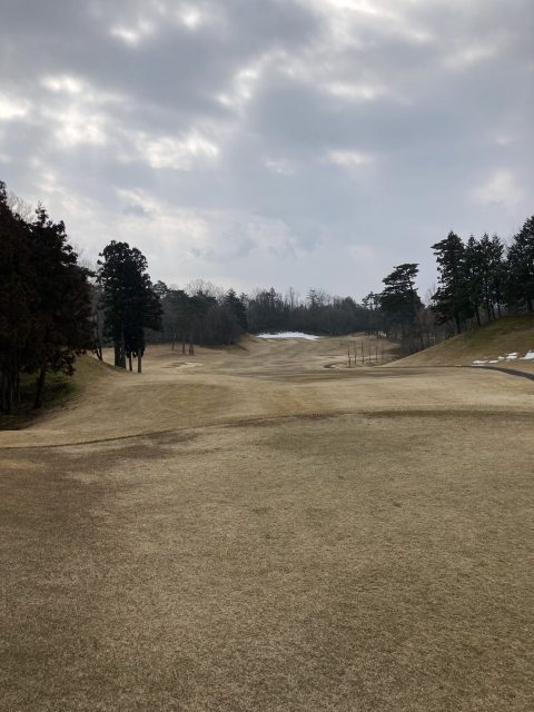 弥生