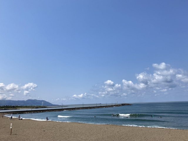 皐月