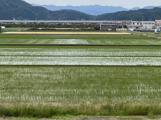 水無月