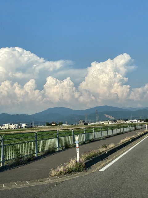 文月