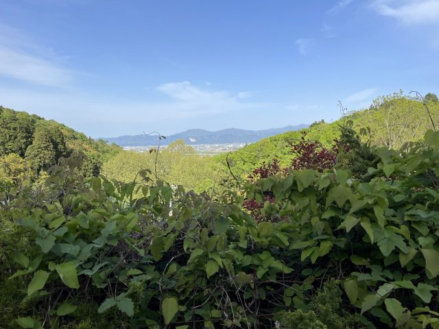 令和5年 5月