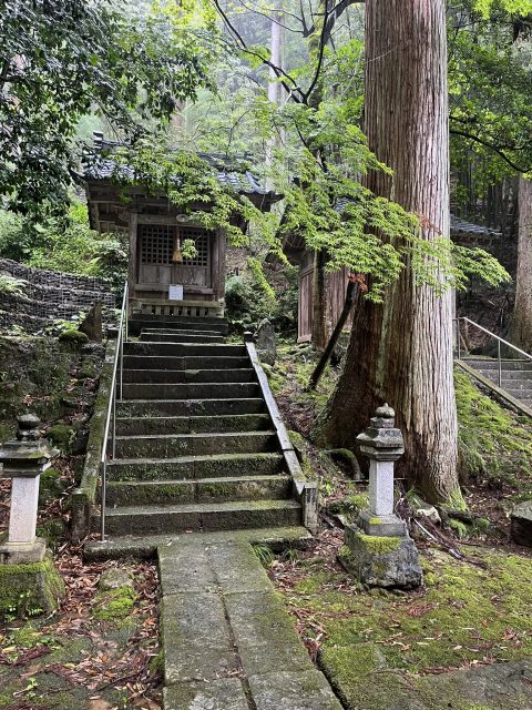 令和6年 7月